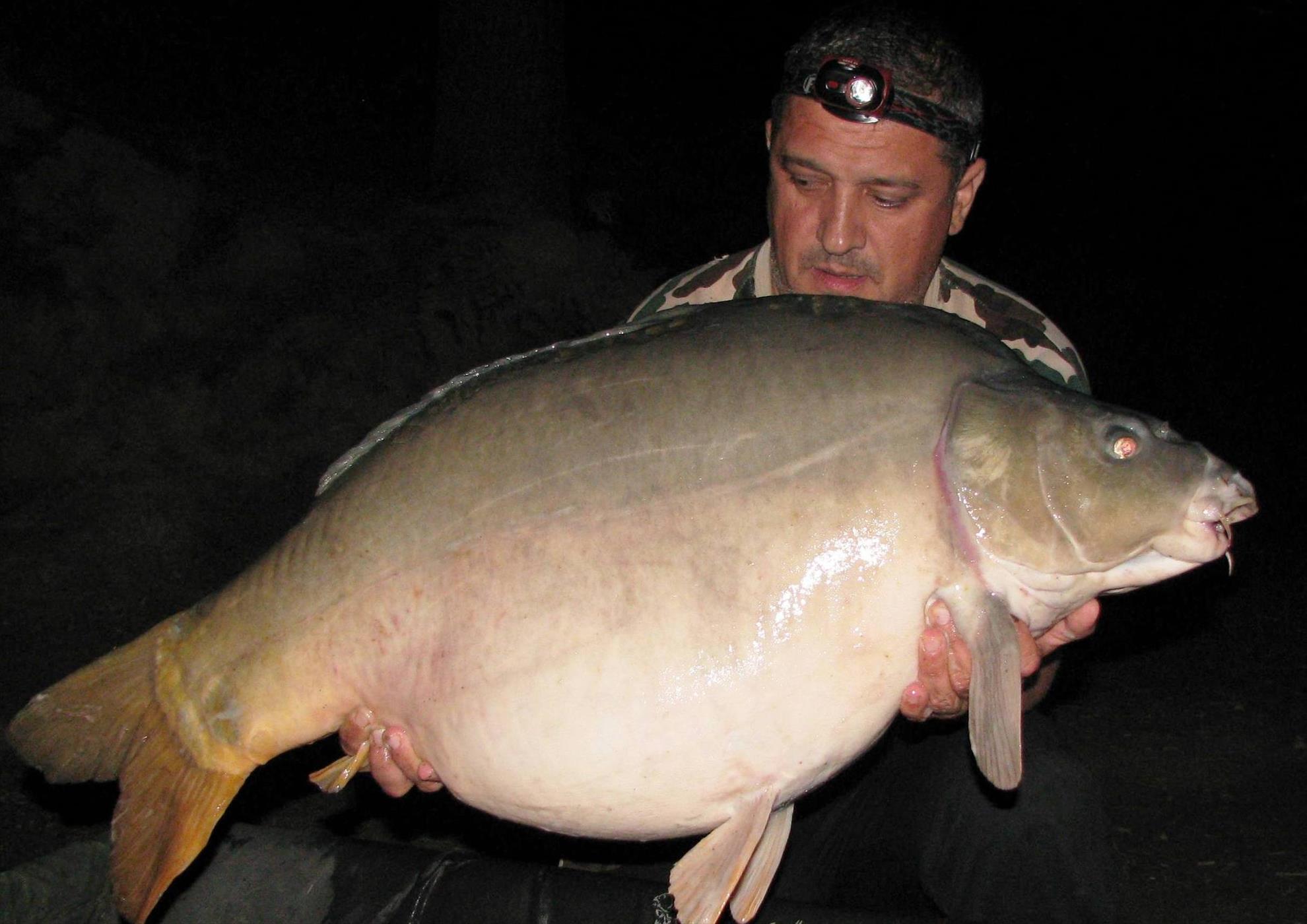 Harsany 22 - 27 iunie 2014 - img1403.JPG